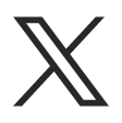 X (antiguo Twitter) X (antiguo Twitter)
